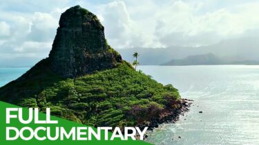 Oahu – The Heart and Soul of Hawaii | Free Documentary Nature